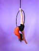 Dance classes for adults near me UK Aerial Fitness in Ashton-under-Lyne in Tameside