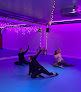 Dance classes for adults near me UK Cre8 Dance Studio in Richmond in Richmond upon Thames