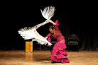 Dance classes for adults near me UK Flamenco Absoluto Dance in Cheltenham in Gloucestershire